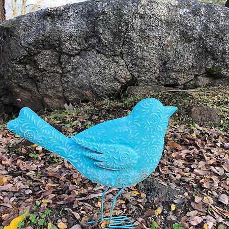 Birdwatch Cottage With River Beach Pass ทรีริเวอร์ส ภายนอก รูปภาพ